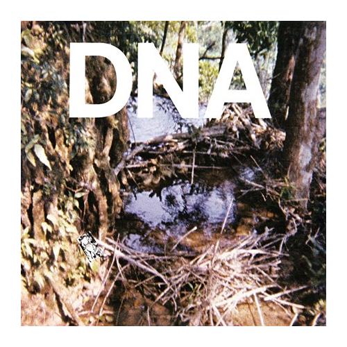 DNA A Taste Of DNA (12")